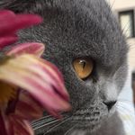 Profile Picture of Rıfkı, Küflü, Luffy,İzabel (@rifki_kuflu_luffy_izabel) on Instagram
