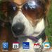 Profile Picture of Ralph Falcone (@ralph.falcone.1) on Facebook