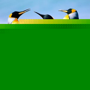 Profile Picture of Jagdish Kumar (@jagdishkumaravg.gmail.com) on Myspace