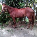 Profile Picture of Otilio Diaz (@otilio_diaz) on Instagram