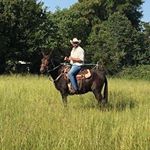 Profile Picture of Philip Hopper (@hopper7wsm) on Instagram