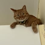 Profile Picture of Mario Söderlund (@mario.soderlund) on Facebook