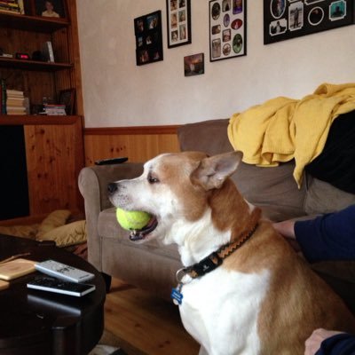 Profile Picture of Bill Etheridge (@Hillwilliam08) on Twitter