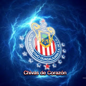Profile Picture of Tavo Gus Lopes (@tavoguslopes372) on Youtube