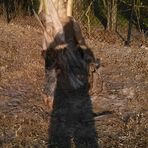 Profile Picture of Larry Pelkey (@larry.pelkey.9) on Facebook