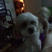 Ronald Roane - Youtube Profile Picture of Ronald Roane (@ronaldroane3901) on Youtube