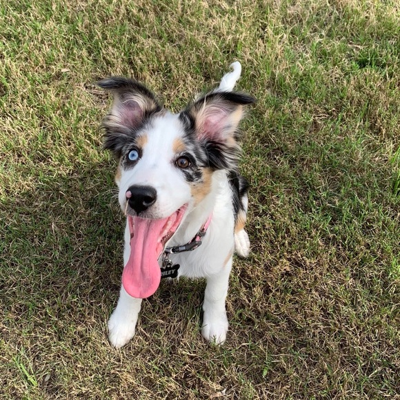 Profile Picture of Hamby Senser (@hambysenser) on Poshmark