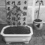 Profile Picture of Danny langdon (@earthsurgeon) on Instagram