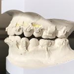 Profile Picture of Hannah (@kiefer_op.lol) on Instagram