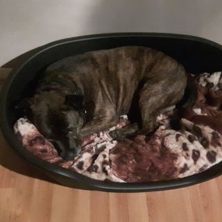 Geraldine Alcorn - Facebook Profile Picture of Geraldine Alcorn (@geraldine.alcorn.71) on Facebook