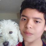 Profile Picture of David Arellanes Ortiz (@davidarellanesortiz) on Instagram