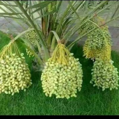 Profile Picture of Prasad Varghese (@PrasadVarghese6) on Twitter