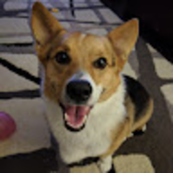 Profile Picture of Todd Ludwinski (@ludwinning) on Poshmark