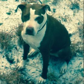 Profile Picture of Clare Ellen Porter (@clareellenporter) on Pinterest