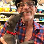 Profile Picture of David Mendelsohn (@mendelsohn2458) on Instagram