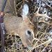 Profile Picture of Scott Mattson (@sjmattson62) on Pinterest