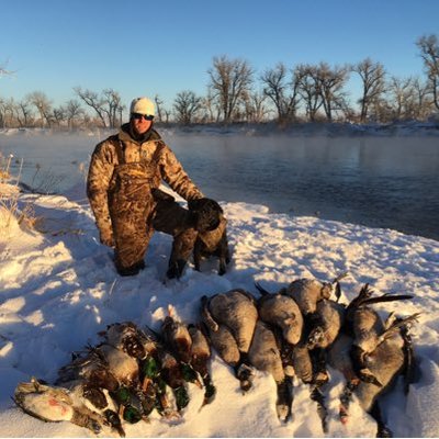 Profile Picture of Matt Norden (@norden_matt) on Twitter