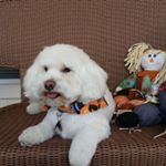 Profile Picture of Sharon Hansen Albritton (@sharonalbritton1965) on Instagram