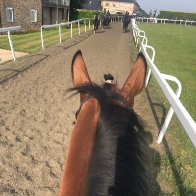 Profile Picture of Stephen Higgins (@shiggins1717) on Twitter