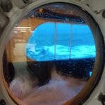 Profile Picture of Jason Sallee (@jason.sallee.568) on Facebook