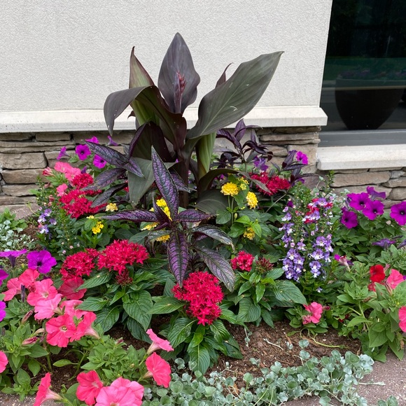 Profile Picture of Dawn Blanton (@wearitonce16) on Poshmark