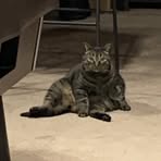 Profile Picture of Jorge Frijole (@Jorge-Frijole) on Facebook