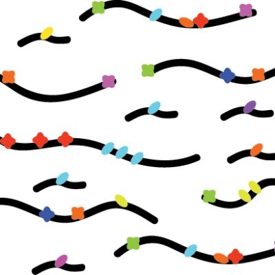 Profile Picture of Van Nostrand Lab (@EVanNostrandLab) on Twitter