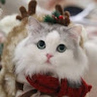 Profile Picture of Fang Lu (@fang-lu-62) on Quora