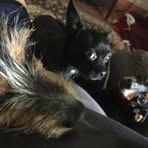 Profile Picture of Buddy Vass (@buddy.vass.906) on Facebook