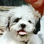 Profile Picture of ariel monge (@arielnation21) on Instagram