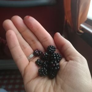 Sara.sadeghi - Twitter Profile Picture of Sara.sadeghi (@Sarasad271) on Twitter