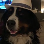 Profile Picture of Jean Chretien Lafaix (@jeanchretienlafaix) on Instagram