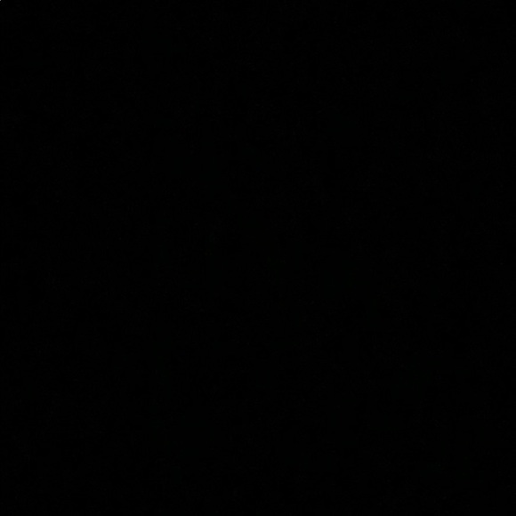 Profile Picture of Erika Ferenczi (@erfer26) on Poshmark