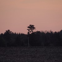 Profile Picture of David Doyle (@david-doyle-56) on Quora