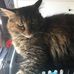 Profile Picture of Marcus Albert (@marcus.albert.9638) on Facebook
