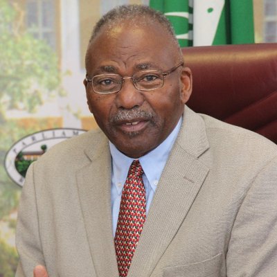 Profile Picture of Hon. Peter Katjavivi (@PeterKatjavivi) on Twitter