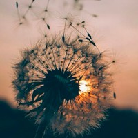 Profile Picture of Ariadna Solis (@ariadna-solis-4) on Quora