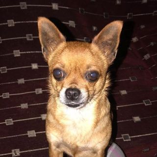 Profile Picture of Θεόδωρος Αθανασόπουλος (@athanasotheo) on Facebook