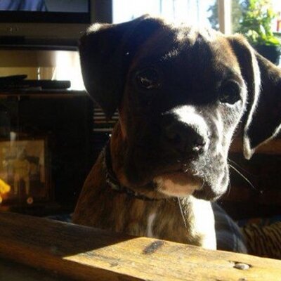 Profile Picture of Dawn Wilkins (@DawnDewilkins) on Twitter