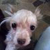 Profile Picture of Gary Switzer (@gary.switzer.319) on Facebook