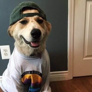 Profile Picture of My Name Is Jeff (@JeffArb11) on Twitter