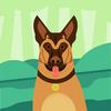 Profile Picture of jeremiahrobb442 (@jeremiahrobb442) on Tiktok