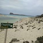 Profile Picture of Claude Joly (@revoir_l_ocean) on Instagram