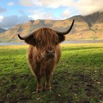 Profile Picture of David mcbryde (@mucker1950) on Instagram