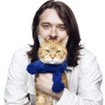 Profile Picture of James&Bob (@streetcat.bob) on Instagram