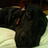 Profile Picture of Michael Hildebrand (@All Polished Out) on Flickr