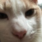 Profile Picture of Hailey Vance (@hailey.vance.984) on Facebook