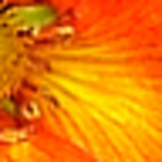 Profile Picture of Sowby1 (@sowby1) on Flickr