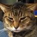 Profile Picture of Stephen Heins (@stephen.heins.18) on Facebook
