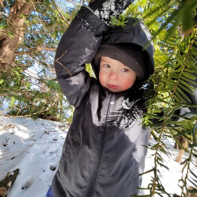 Profile Picture of Dave (@DaveMurchie1) on Twitter